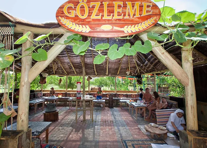 Lonicera World Avsallar